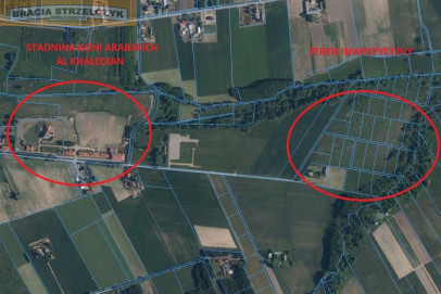 Działka Sprzedaż Nowe Wrońska